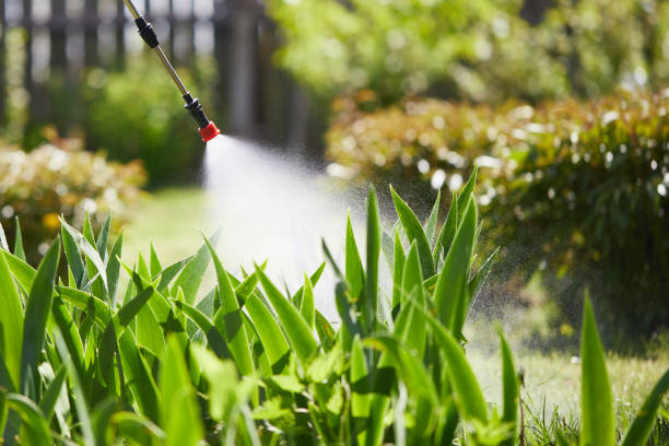 24/7 Emergency Mosquito Control experts in Sisseton, SD